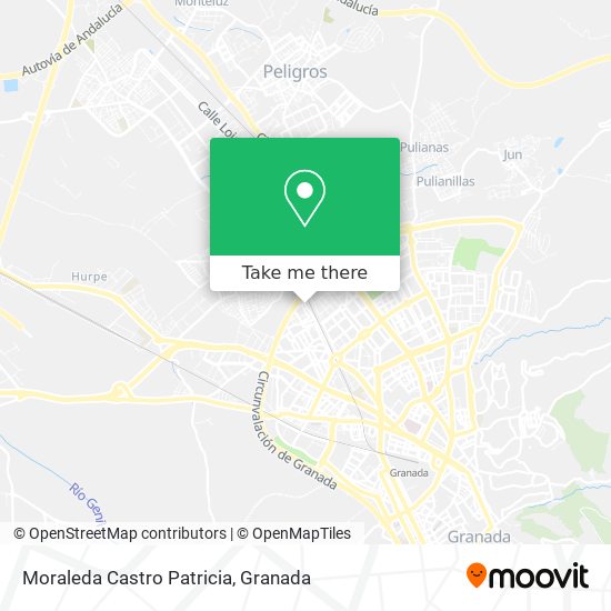 Moraleda Castro Patricia map