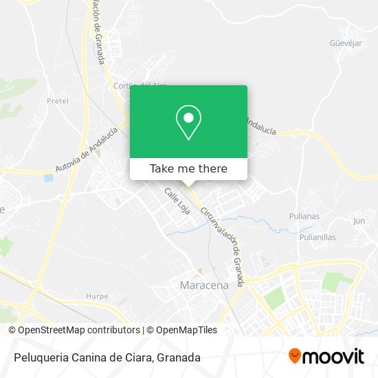 Peluqueria Canina de Ciara map