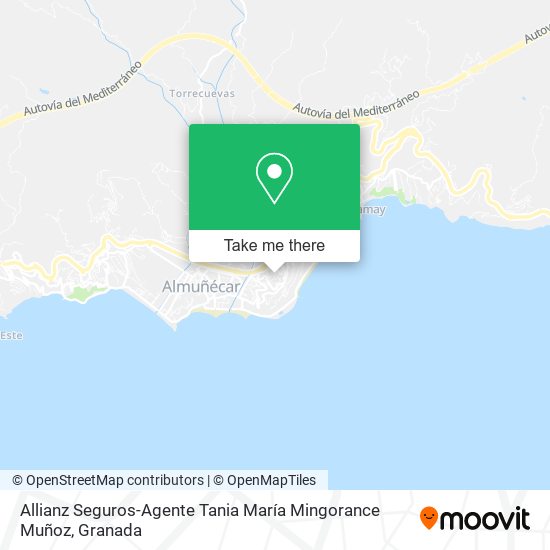 Allianz Seguros-Agente Tania María Mingorance Muñoz map