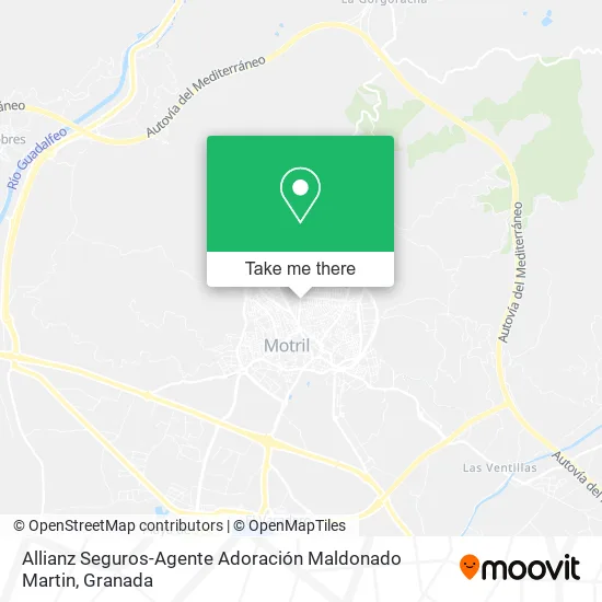 Allianz Seguros-Agente Adoración Maldonado Martin map
