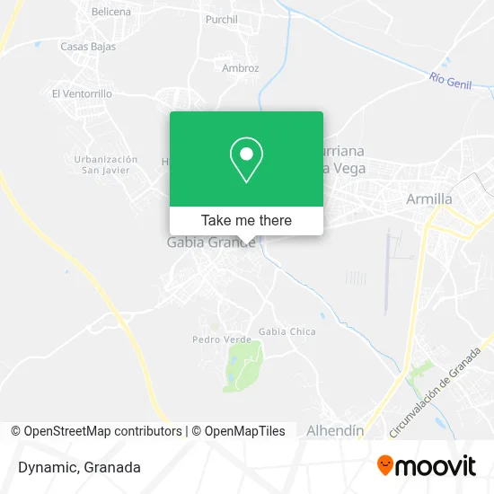 Dynamic map