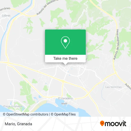 Mario map