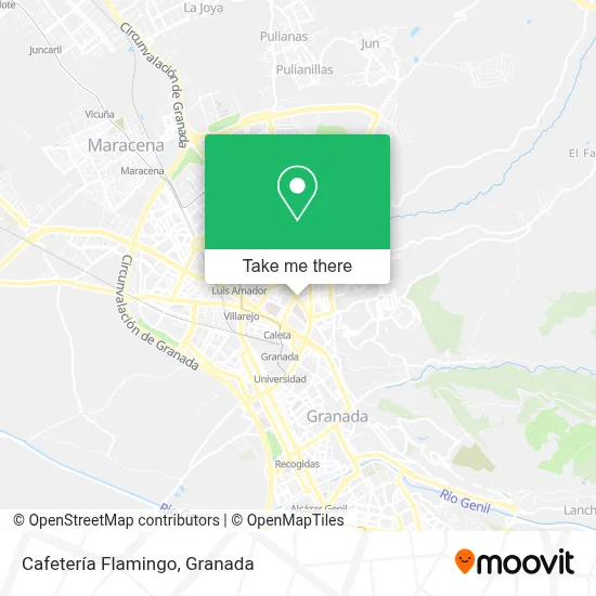Cafetería Flamingo map