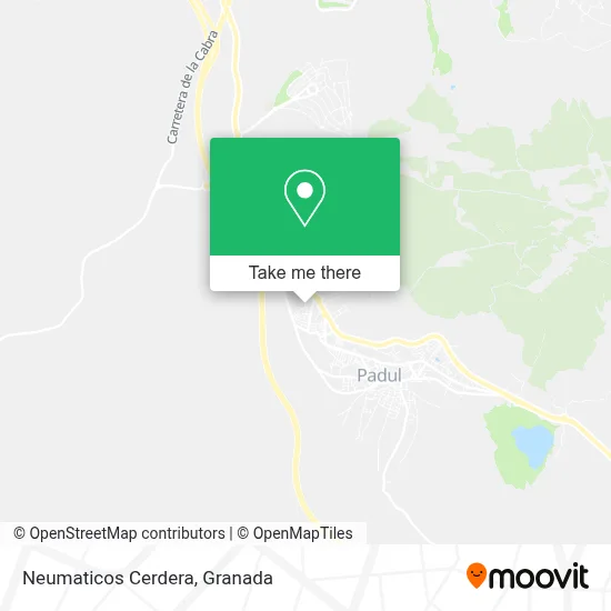 Neumaticos Cerdera map
