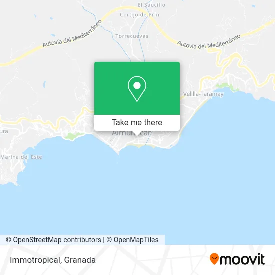 Immotropical map