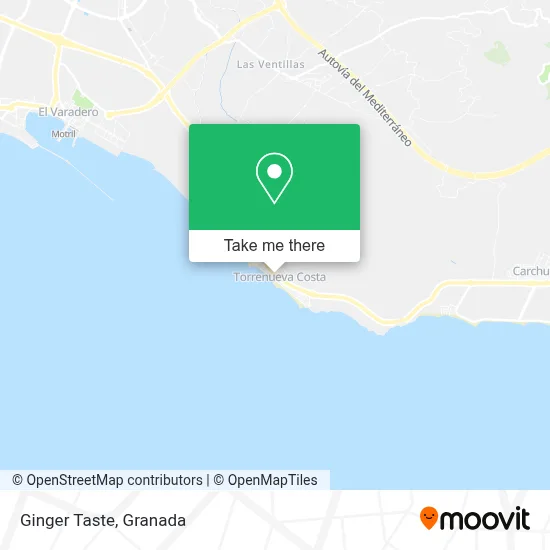 Ginger Taste map