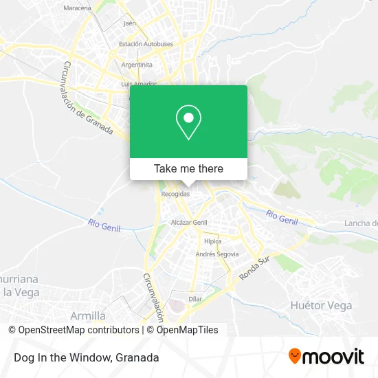 Dog In the Window map