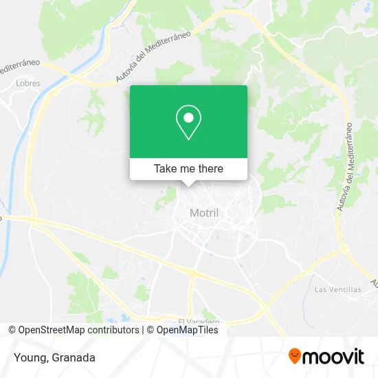 Young map