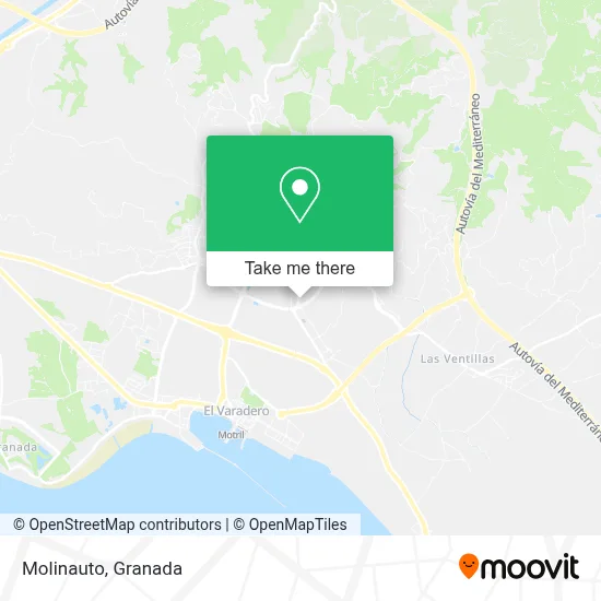 Molinauto map