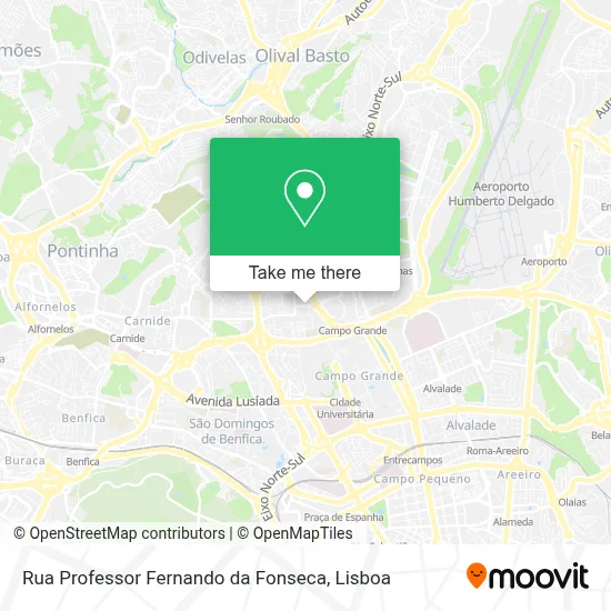 Rua Professor Fernando da Fonseca map