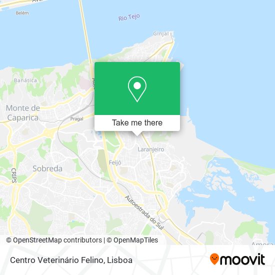 Centro Veterinário Felino map