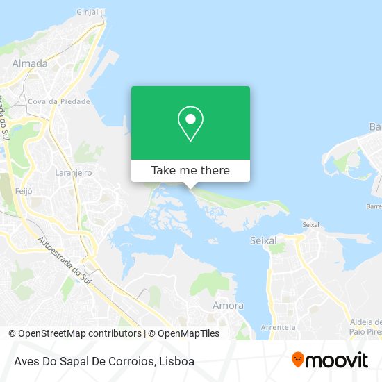 Aves Do Sapal De Corroios mapa