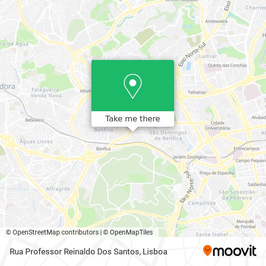 Rua Professor Reinaldo Dos Santos map