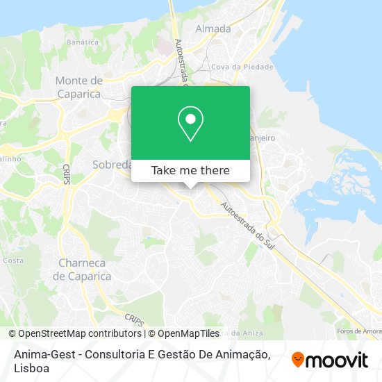 Anima-Gest - Consultoria E Gestão De Animação map