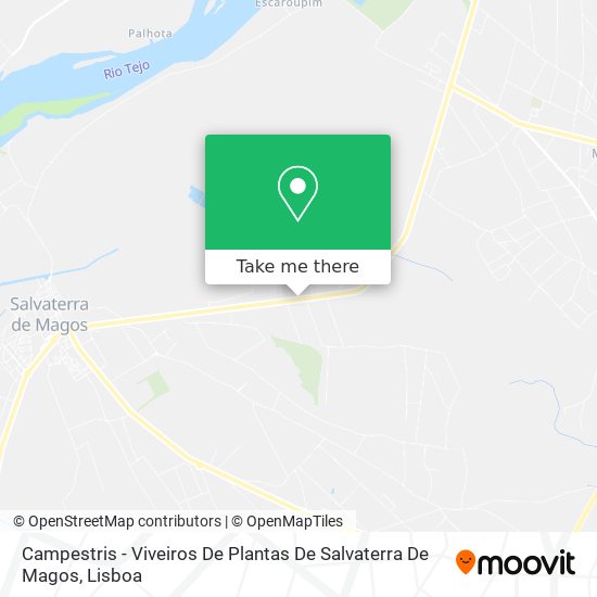 Campestris - Viveiros De Plantas De Salvaterra De Magos map