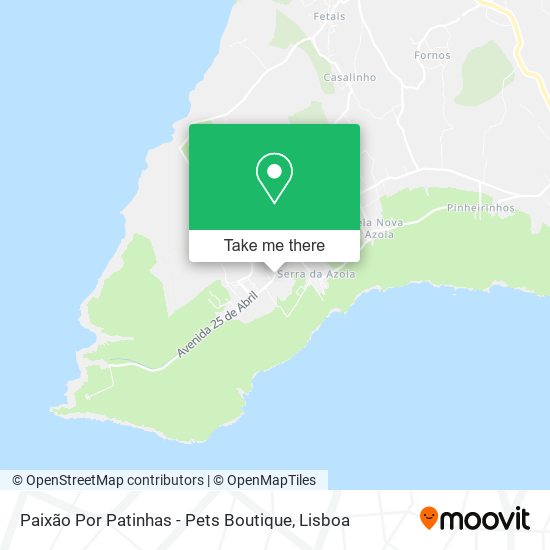 Paixão Por Patinhas - Pets Boutique mapa