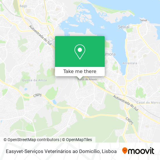 Easyvet-Serviços Veterinários ao Domicílio map