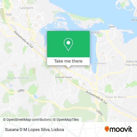 Susana D M Lopes Silva mapa