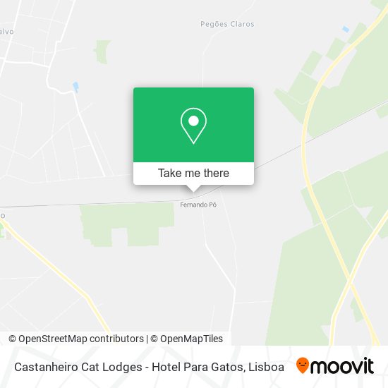 Castanheiro Cat Lodges - Hotel Para Gatos mapa