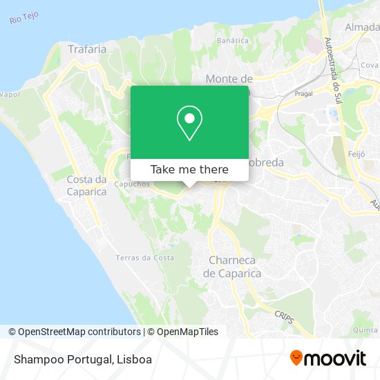 Shampoo Portugal mapa