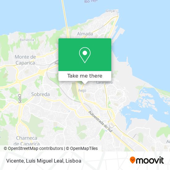 Vicente, Luís Miguel Leal map