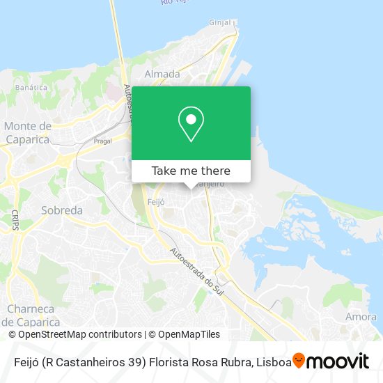 Feijó (R Castanheiros 39) Florista Rosa Rubra mapa