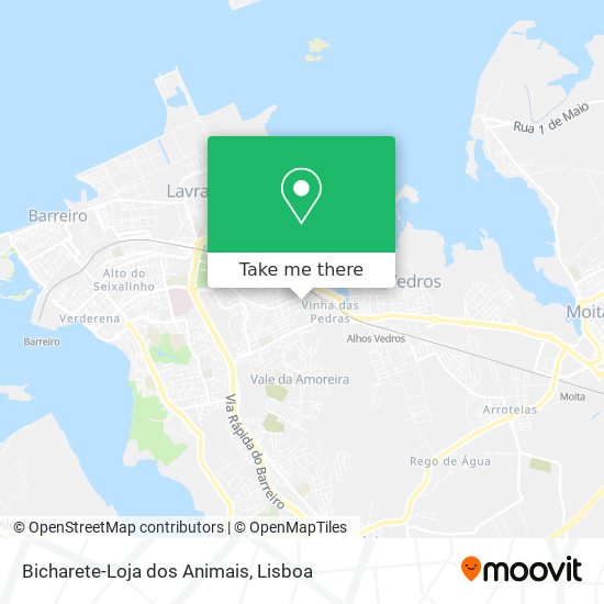 Bicharete-Loja dos Animais map