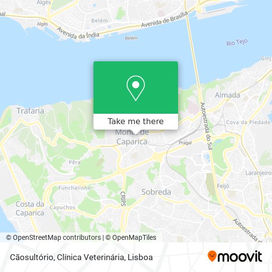 Cãosultório, Clínica Veterinária map