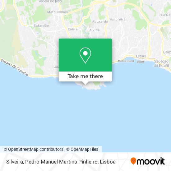 Silveira, Pedro Manuel Martins Pinheiro mapa