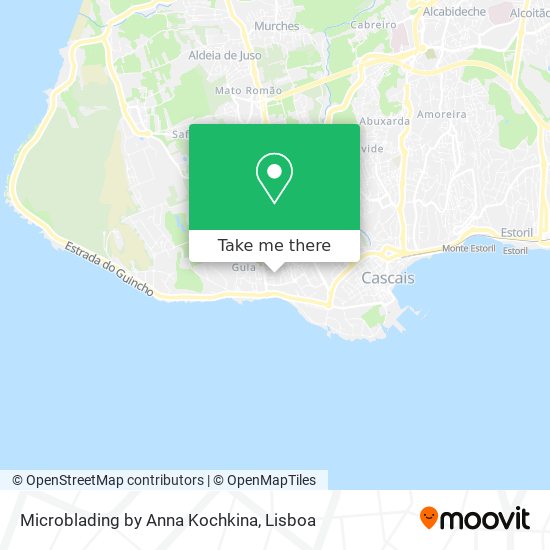 Microblading by Anna Kochkina map