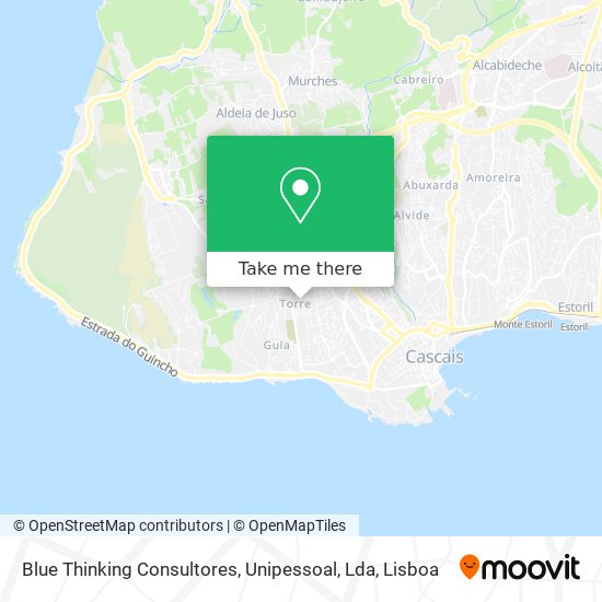 Blue Thinking Consultores, Unipessoal, Lda map