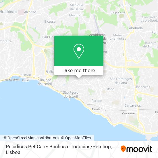 Peludices Pet Care- Banhos e Tosquias / Petshop map
