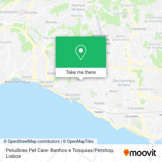 Peludices Pet Care- Banhos e Tosquias / Petshop map
