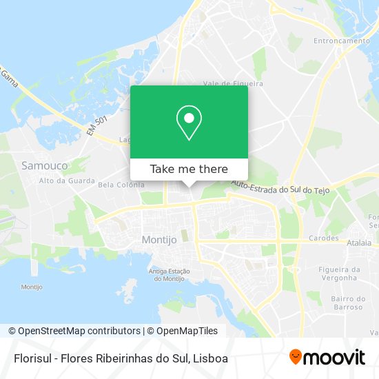 Florisul - Flores Ribeirinhas do Sul map