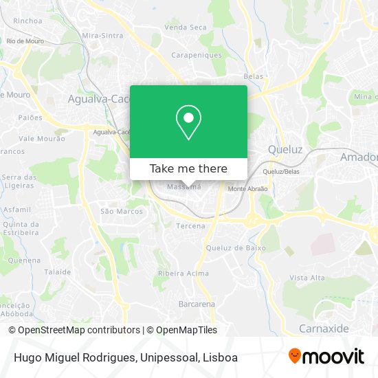 Hugo Miguel Rodrigues, Unipessoal mapa