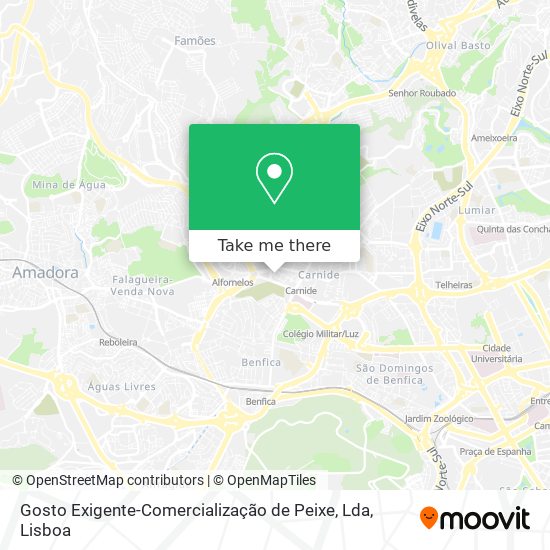 Gosto Exigente-Comercialização de Peixe, Lda mapa