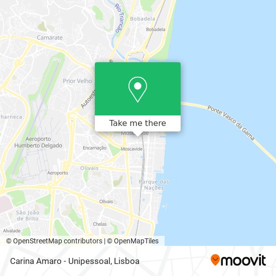 Carina Amaro - Unipessoal map