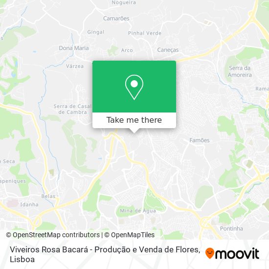 Viveiros Rosa Bacará - Produção e Venda de Flores mapa