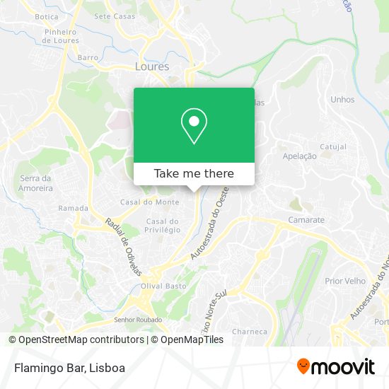 Flamingo Bar mapa