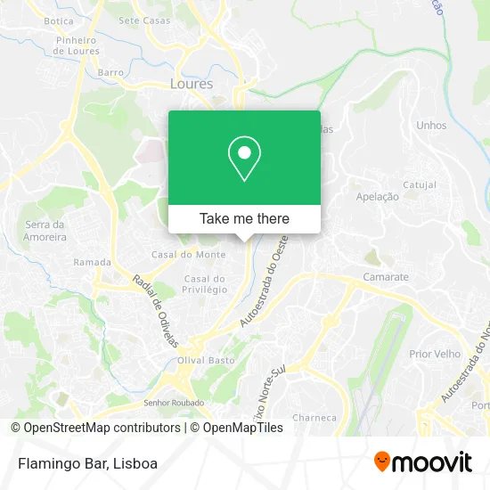 Flamingo Bar map