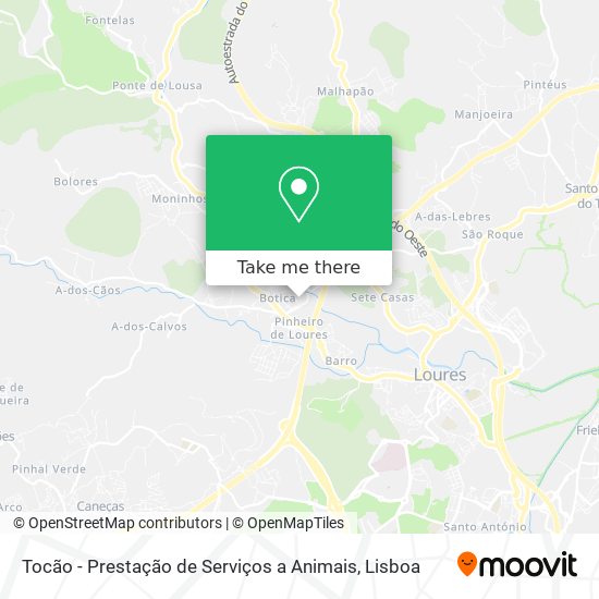 Tocão - Prestação de Serviços a Animais map