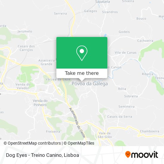 Dog Eyes - Treino Canino mapa