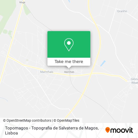 Topomagos - Topografia de Salvaterra de Magos map