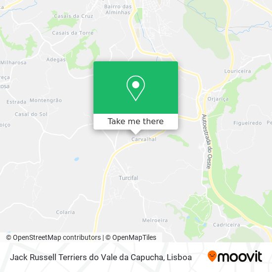 Jack Russell Terriers do Vale da Capucha map