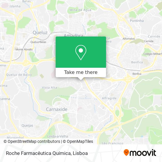 Roche Farmacêutica Química map