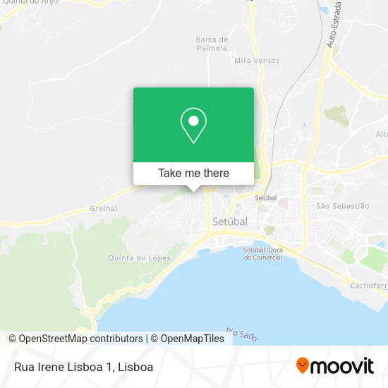 Rua Irene Lisboa 1 map