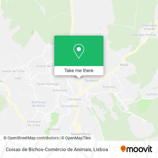 Coisas de Bichos-Comércio de Animais map