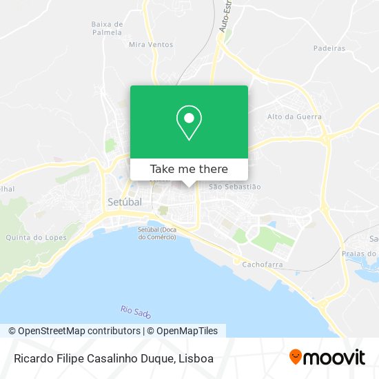 Ricardo Filipe Casalinho Duque map
