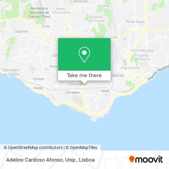 Adelino Cardoso Afonso, Unip. mapa