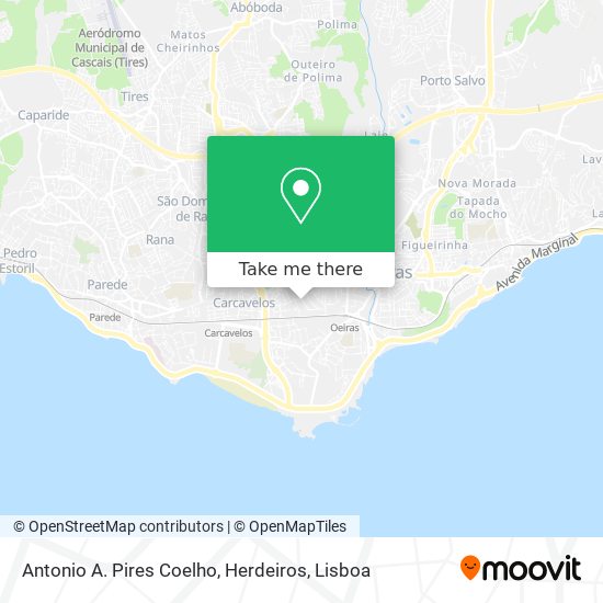 Antonio A. Pires Coelho, Herdeiros map
